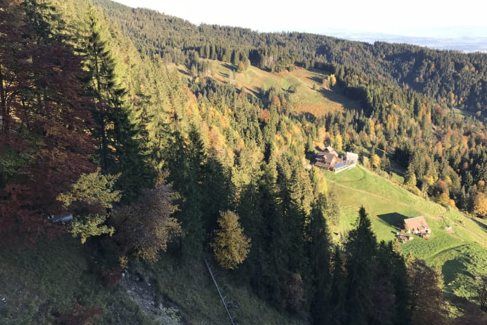 Forstbetrieb